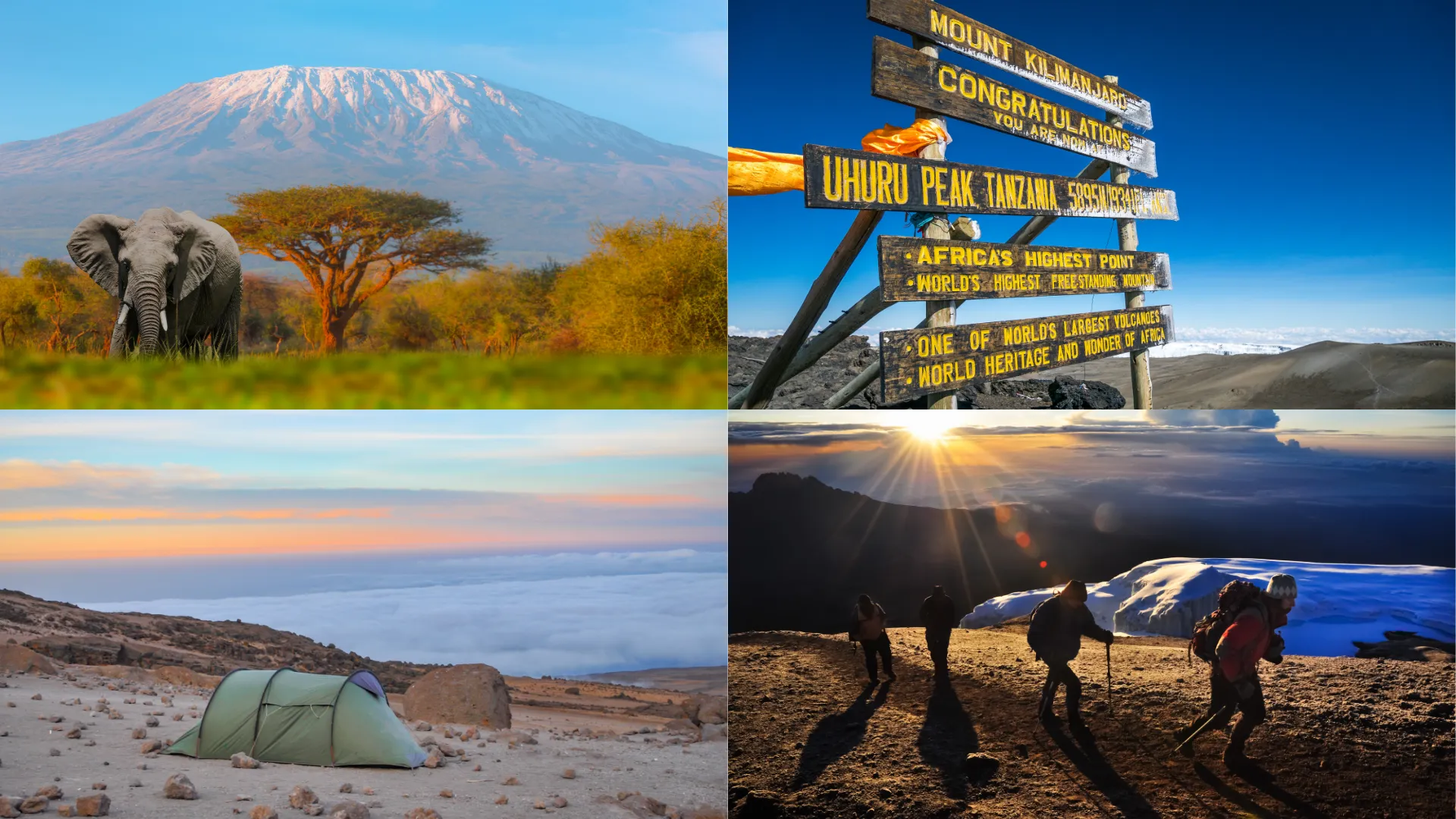 अंग्रेजी शब्दावली की महारत की चुनौती का चित्रण करने वाला एक दृश्य, जिसमें 'Bahara' जैसे जटिल शब्दों के सही उपयोग पर ध्यान केंद्रित किया गया है।