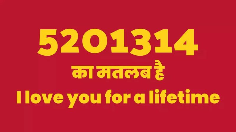 52013 का हिंदी में अर्थ क्या है? (52013 ka hindi mein arth kya hai?)