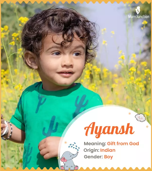 आयांश नाम के समान और संबंधित नाम (Aayansh Naam Ke Samaan Aur Sambandhit Naam)