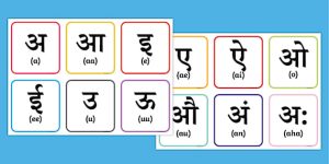 academic meaning in hindi 5