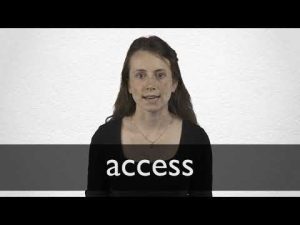 access meaning in hindi 2
