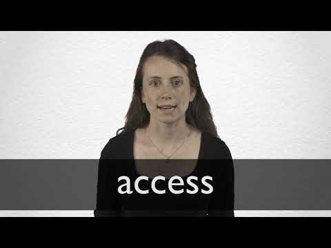 access meaning in hindi 2