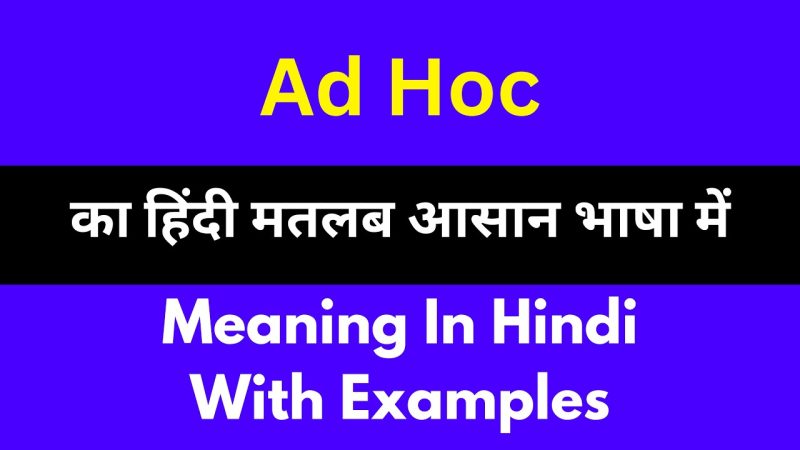 ad hoc meaning in hindi - Hình 2