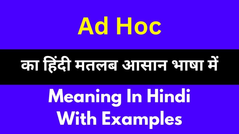 adhoc meaning in hindi - Hình 3