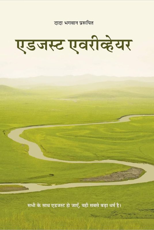adjust meaning in hindi 1