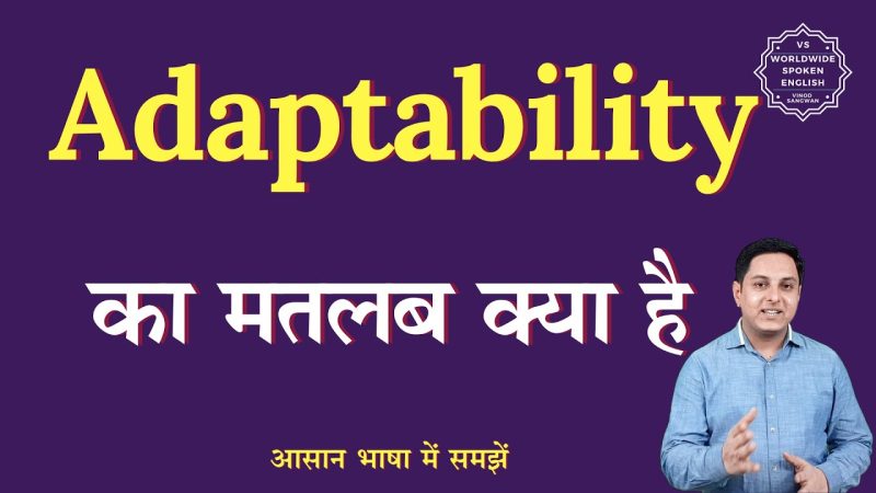 adjust meaning in hindi 5