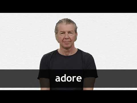 adore meaning in hindi 2