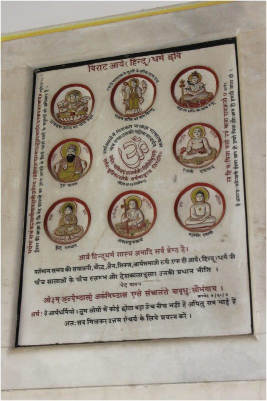 adult meaning in hindi 1