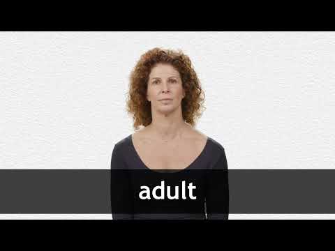 adult meaning in hindi 2