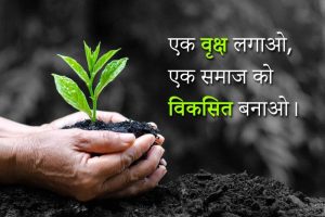 afforestation meaning in hindi 3
