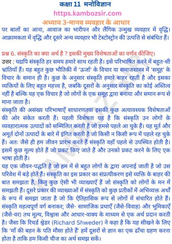 आक्रामक व्यवहार के परिणाम: व्यक्तियों और समाज पर प्रभाव