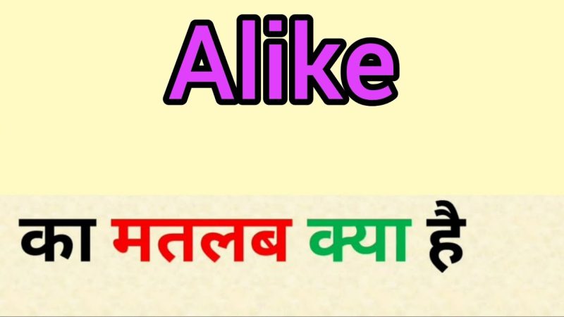 alike meaning in hindi - Hình 2