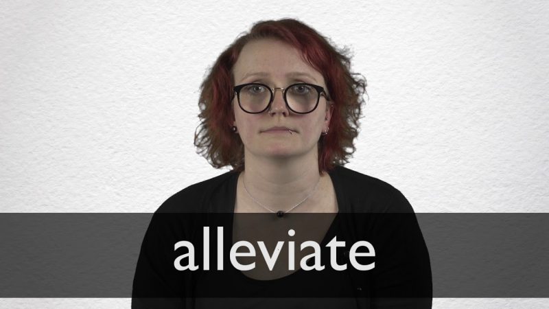 Alleviate का वाक्य में प्रयोग: उदाहरणों के साथ स्पष्टीकरण
