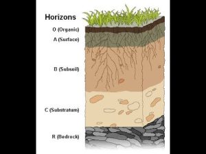 alluvial soil meaning in hindi 1