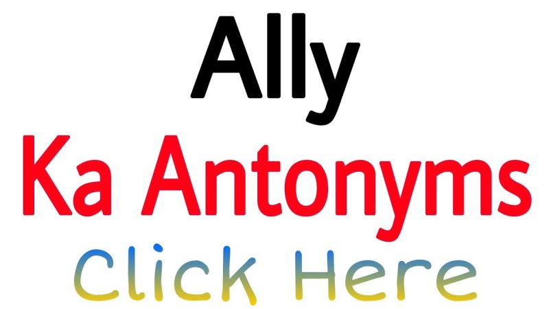 ally के पर्यायवाची और विलोम शब्द