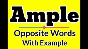 ample meaning in hindi 6
