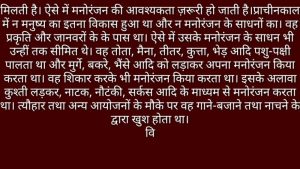 amusement meaning in hindi 5