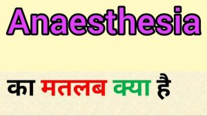anaesthesia meaning in hindi