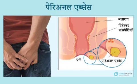 anal meaning in hindi 2