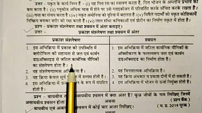 विश्लेषण कौशल कैसे विकसित करें (Vishleshan Kaushal Kaise Viksit Karen)