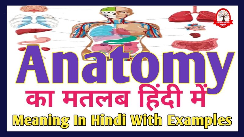 anatomy meaning in hindi - Hình 2