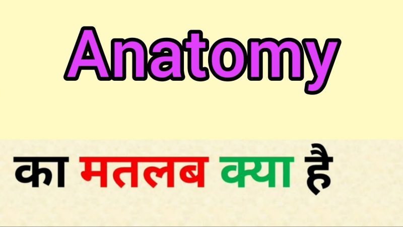 anatomy meaning in hindi - Hình 3