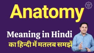 anatomy meaning in hindi