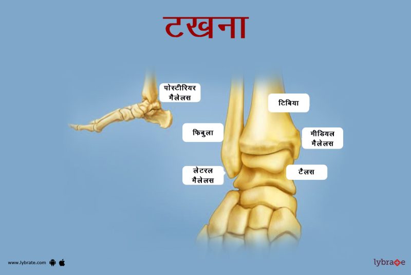 टखने की शारीरिक रचना: हिंदी में विवरण (Ankle anatomy: Description in Hindi)