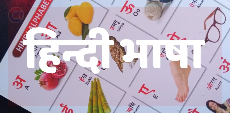 हिंदी बोलियों में अर्थ भिन्नता: क्षेत्रीय भाषा का महत्व