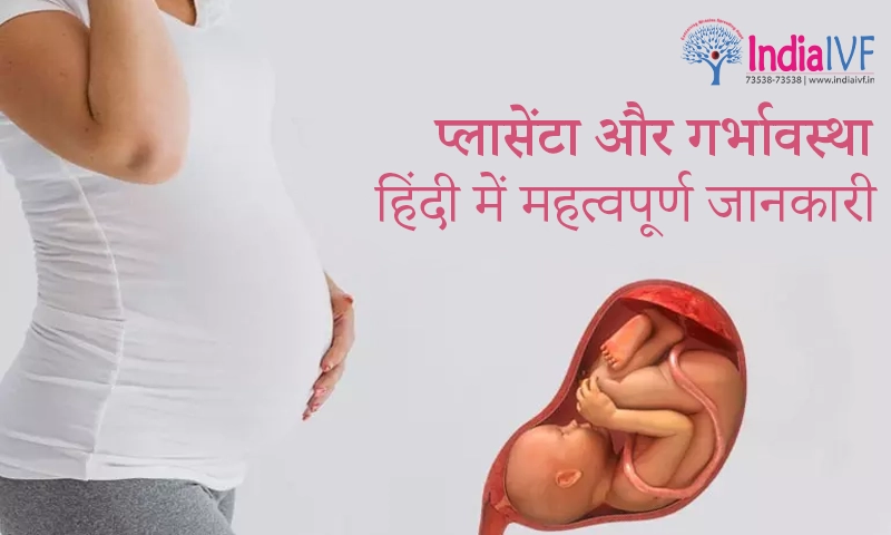 anterior meaning in hindi 1