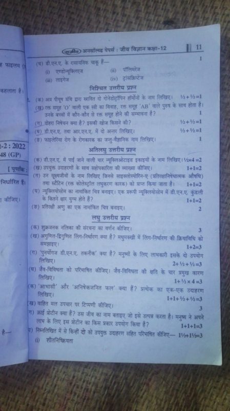 anterior meaning in hindi 4