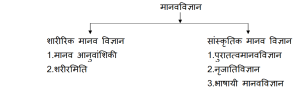 anthropology meaning in hindi 1