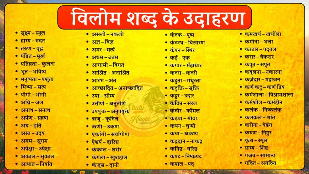 विलोम शब्दों का प्रयोग: वाक्य संरचना और समझ