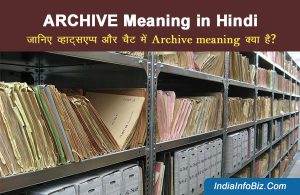 archive meaning in hindi 1