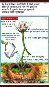 arrears meaning in hindi 2