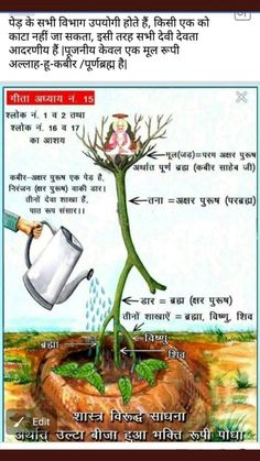 बकाया के प्रकार: विभिन्न संदर्भों में उपयोग