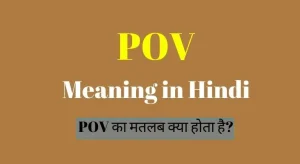 as your wish meaning in hindi 4