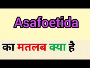 asafoetida meaning in hindi