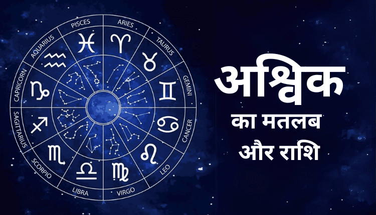 ashvik meaning in hindi - Hình 1