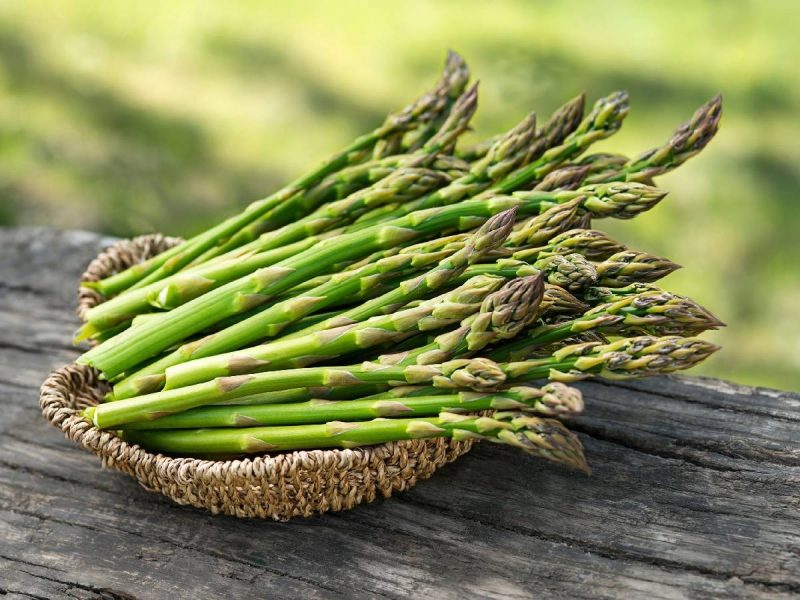 asparagus meaning in hindi - Hình 2