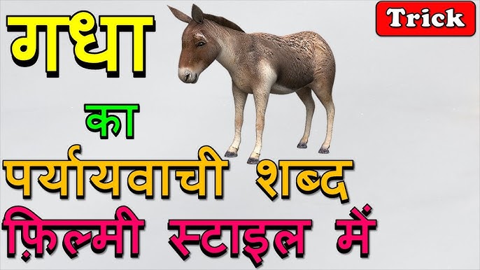 गधे के पर्यायवाची और विलोम शब्द (Gadhe ke paryayvachi aur vilom shabd)  गधे शब्द के हिंदी में पर्यायवाची (समानार्थी) और विलोम (विपरीत) शब्दों की सूची देखें और उनका अर्थ समझें।