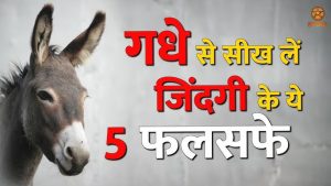 ass meaning in hindi 6