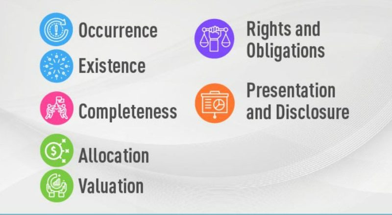 assertion meaning in hindi 1