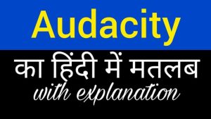 audacity meaning in hindi 5