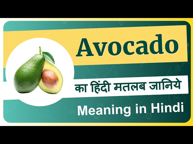 avocado meaning in hindi 1