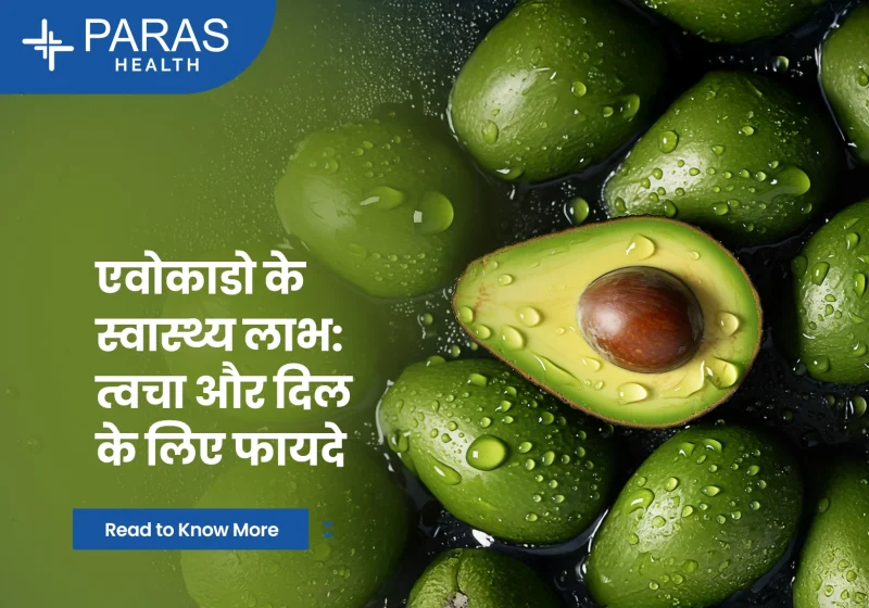 avocado meaning in hindi 3