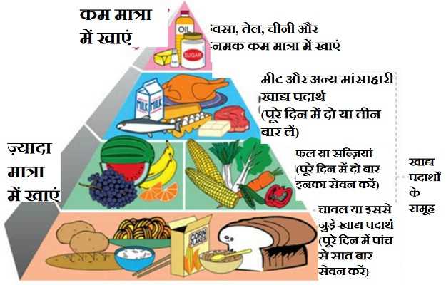 संतुलित आहार का अर्थ हिंदी में (Balanced Diet Meaning in Hindi): एक संपूर्ण गाइड