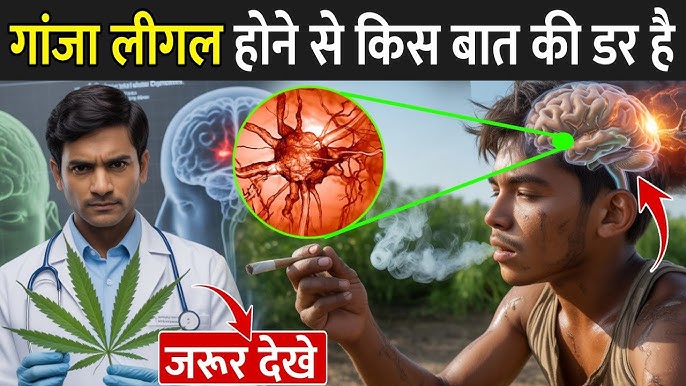 गंजा होने का हिंदी में मतलब क्या है? (Ganja hone ka Hindi mein matlab kya hai?)  गंजा शब्द का हिंदी में सटीक अर्थ, विभिन्न संदर्भों में इसका उपयोग और संबंधित भावनाओं को समझें।
