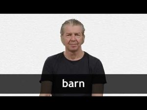 barn meaning in hindi 1