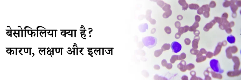 basophils meaning in hindi - Hình 2